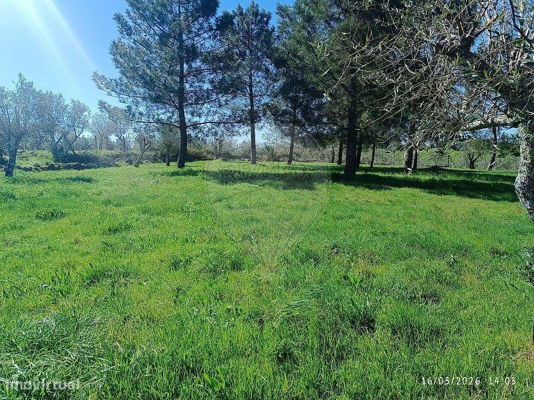 Terreno  para venda - Grande imagem: 3/8