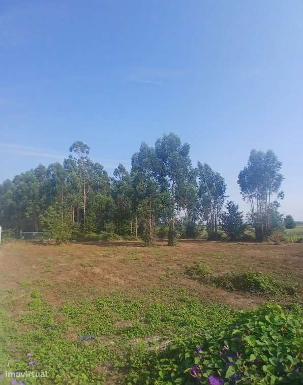 Terreno Urbanizável, 1 906,01 m², Silveiros - Grande imagem: 3/6
