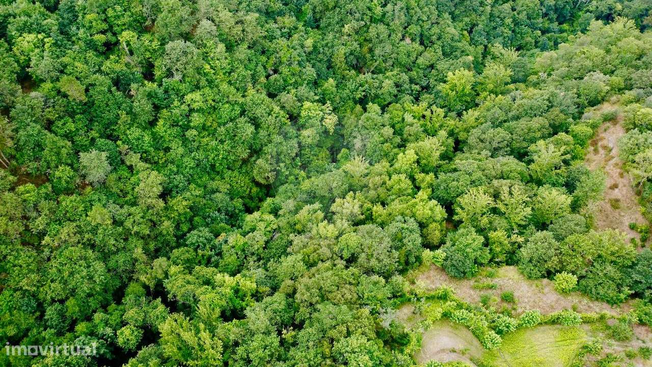 Terreno  para venda - Grande imagem: 5/10