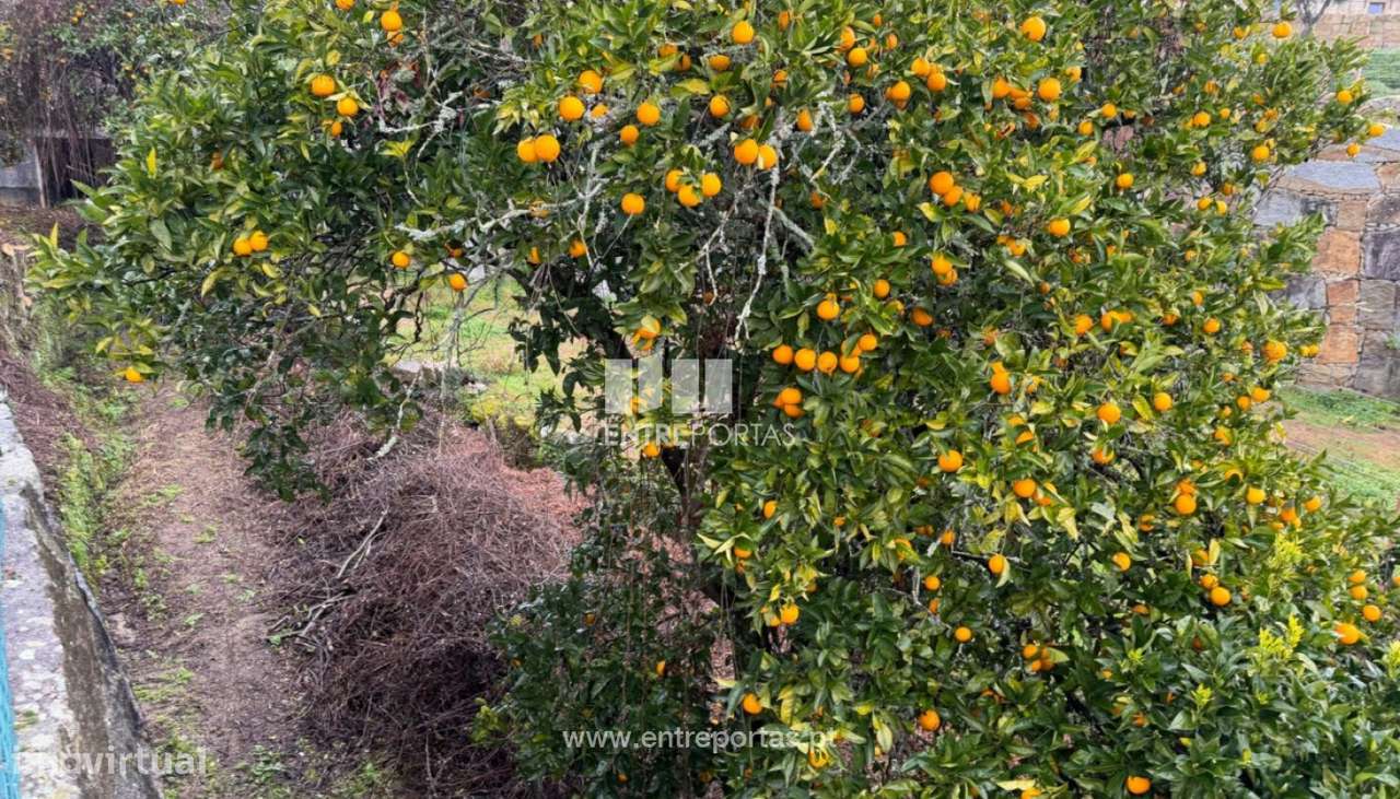 Venda Terreno, São Lourenço do Douro, Marco de Canaveses - Grande imagem: 4/17