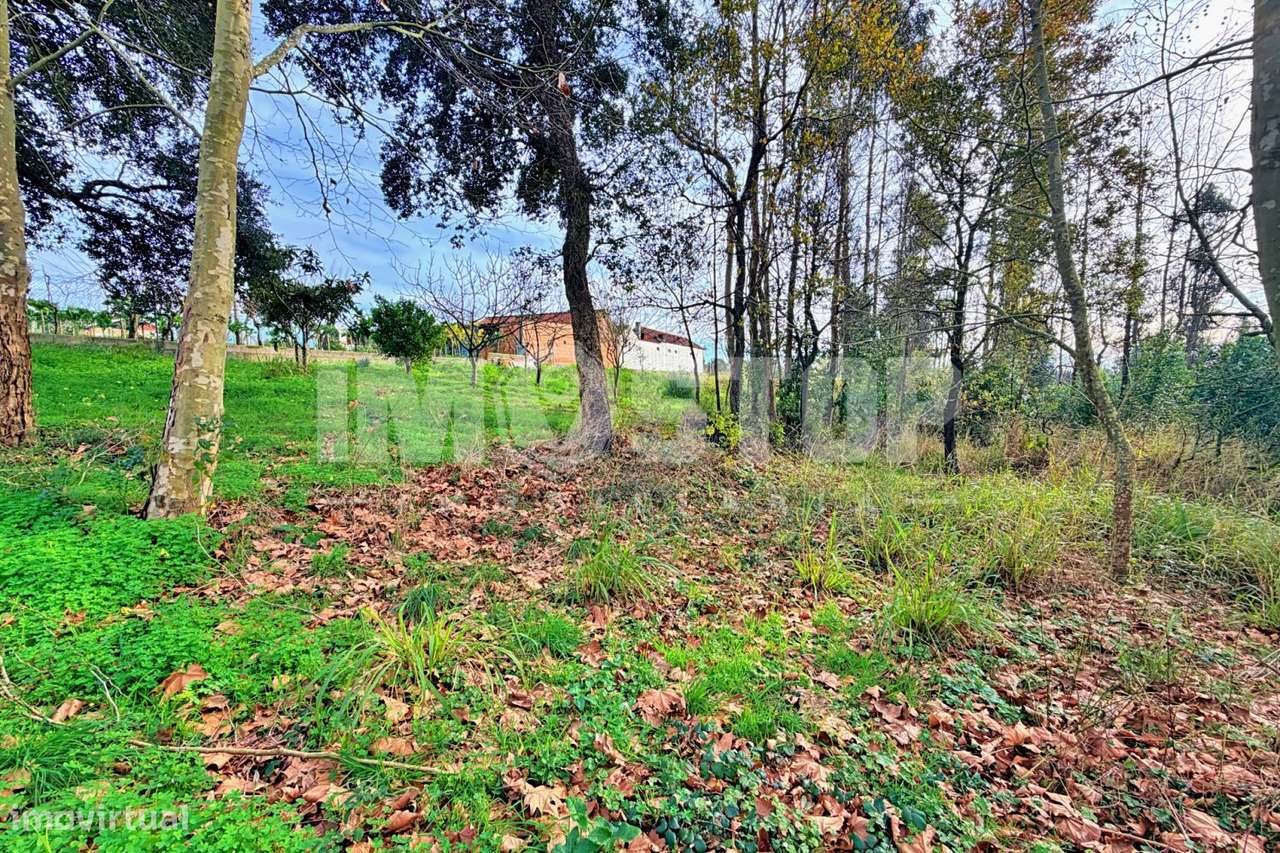 Terreno para construção entre Albergaria-a-Velha e Aveiro - Grande imagem: 5/9
