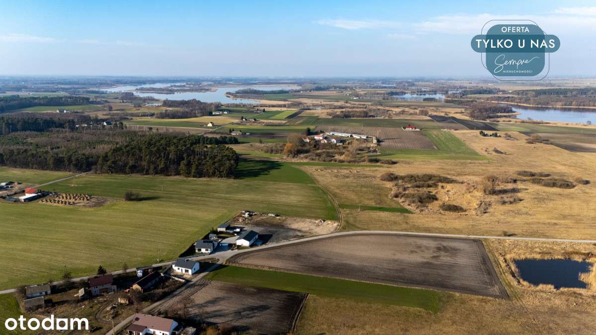 Przestronna działka 15 200 m² w Łuszczewie - Pełny obrazek: 5/11