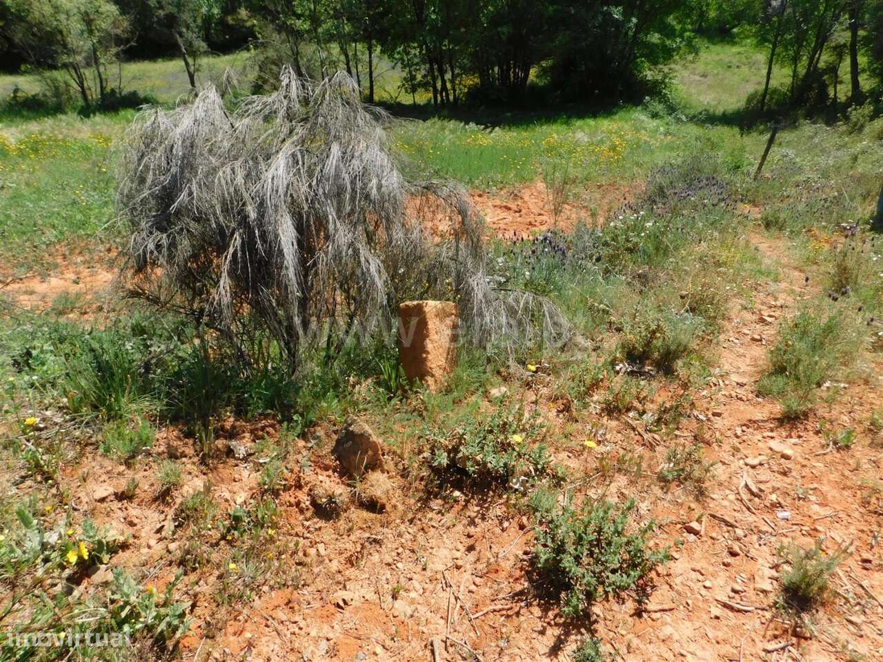 Terreno Rústico / Fundão, Fatela-15