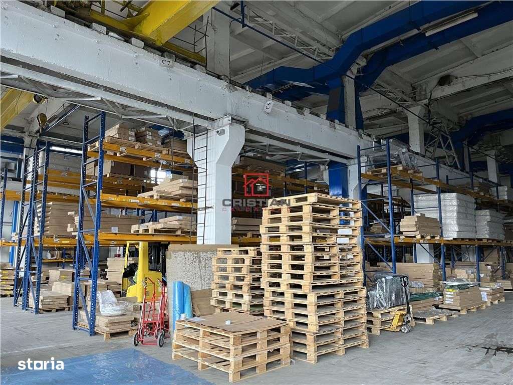Vanzare haladepozitspatiu industrial Basarabia - Faur-2