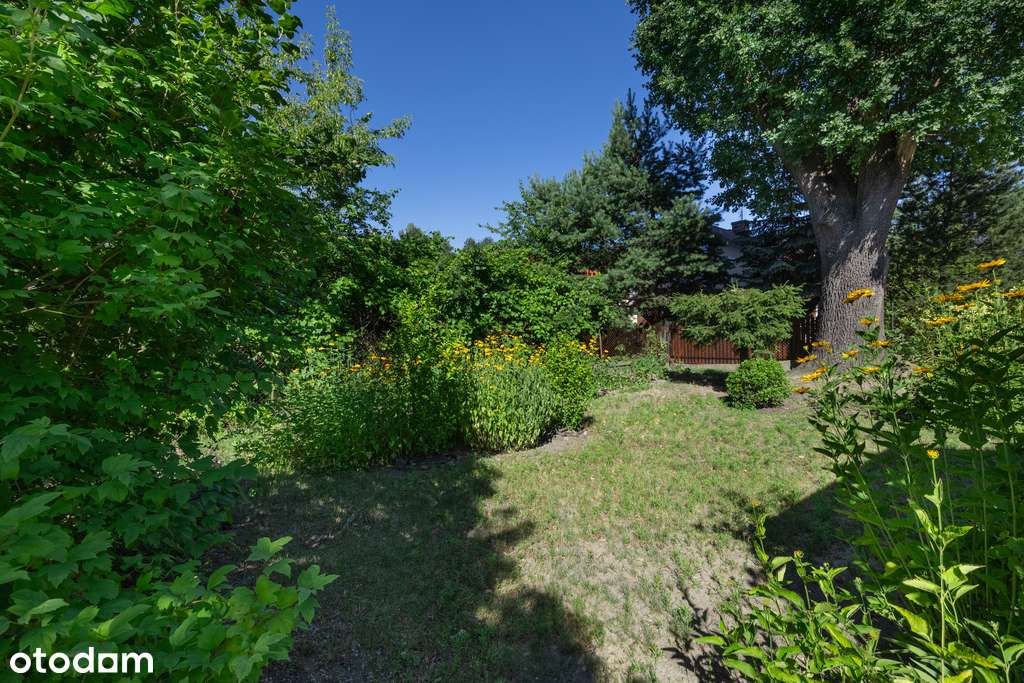 ✅Zobacz działka budowlana z potencjałem✅ - Pełny obrazek: 4/20