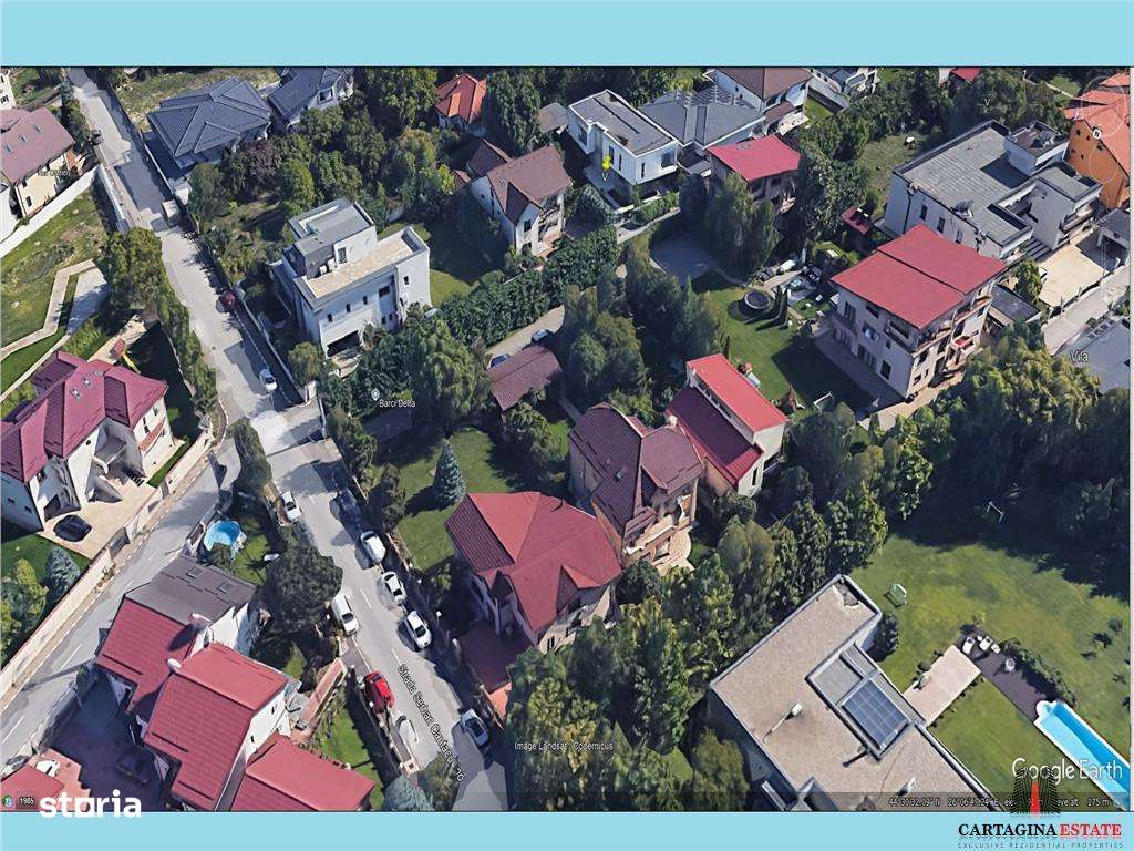 Iancu Nicolae ( 2.300 )-1