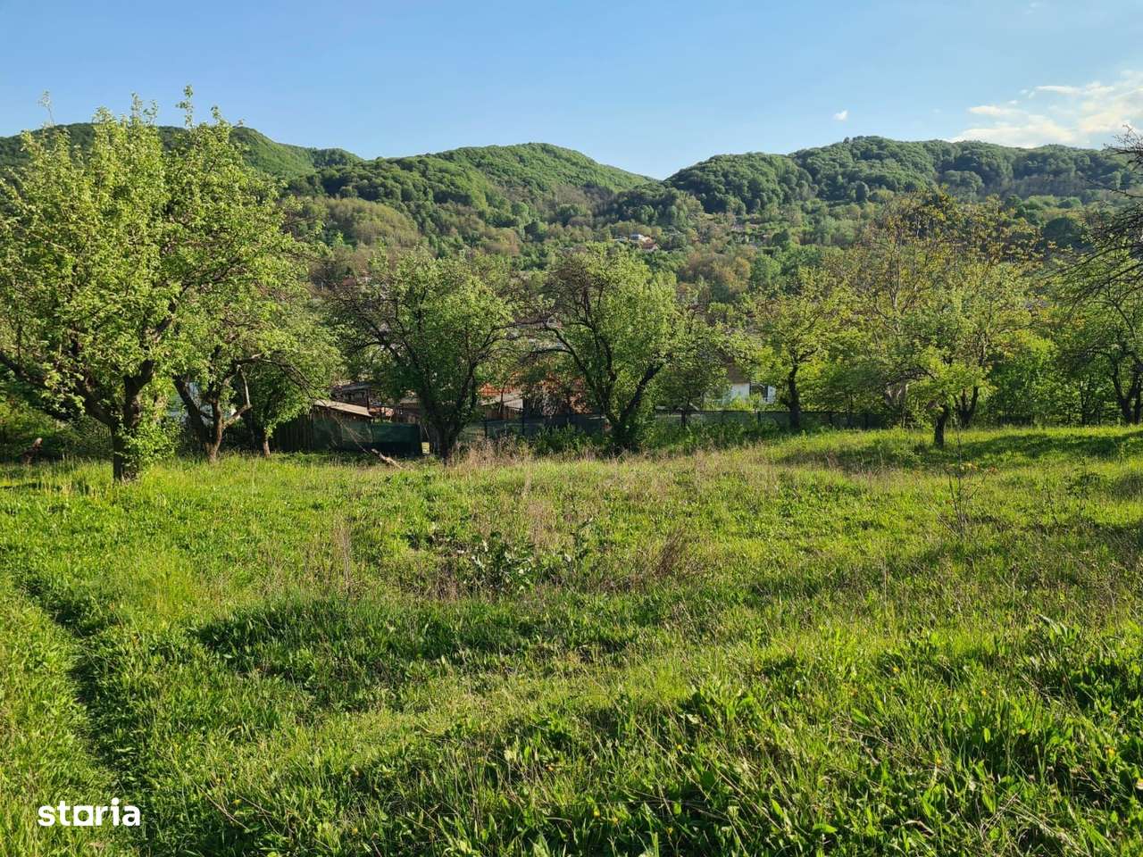 Teren intravilan de vanzare-5