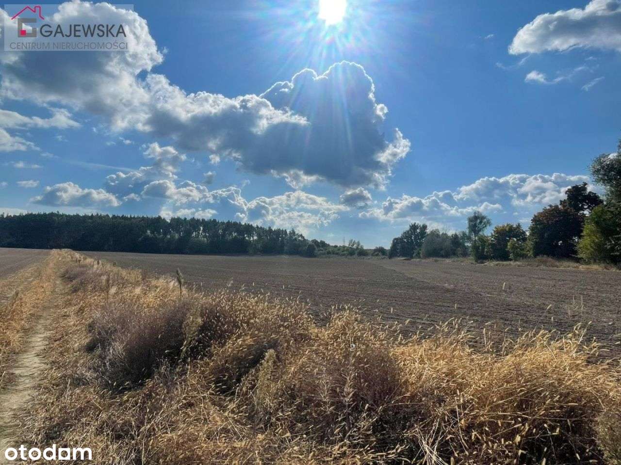 Działka budowlana przy lesie, Szydłowo ul.Ogrodowa-4