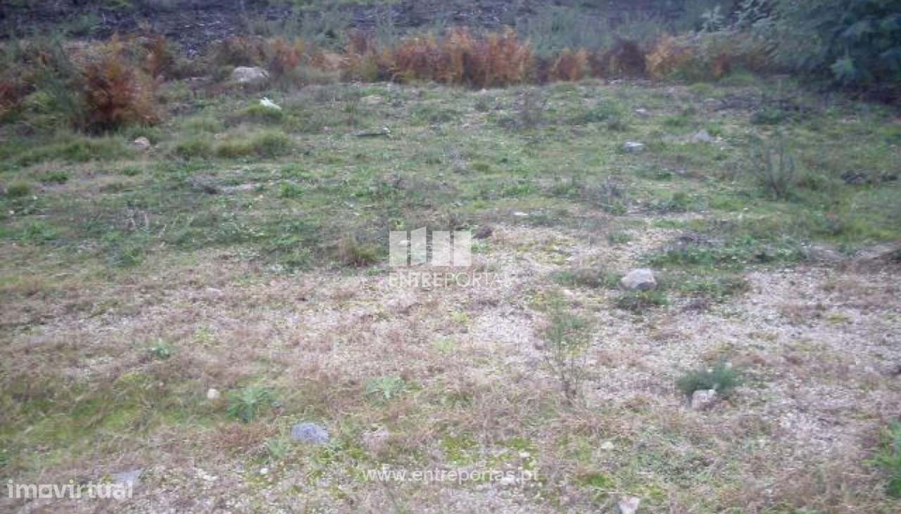 Venda Lote, Grilo, Baião - Grande imagem: 5/24
