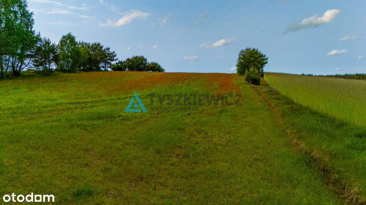 Zamieszkaj w Wojsku - Pełny obrazek: 4/18