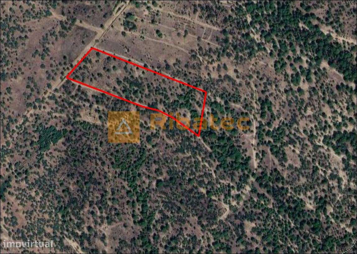 Terreno com 5 hectares no Couço-5