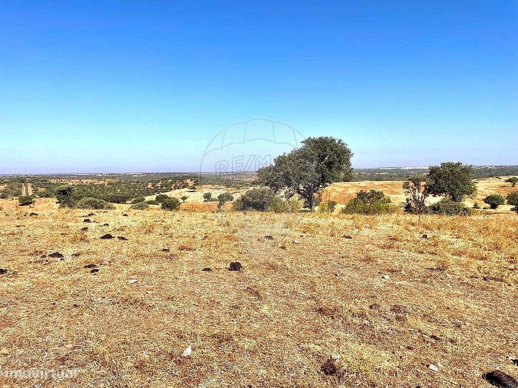 Terreno  para venda - Grande imagem: 4/8