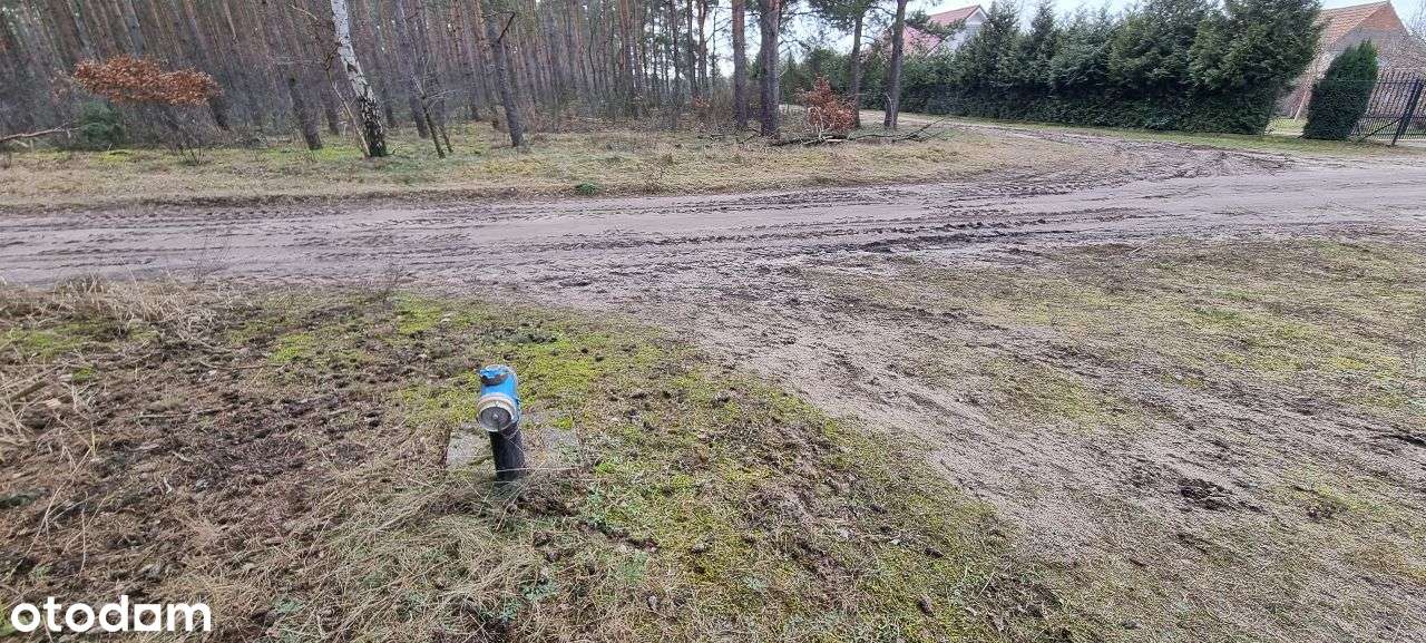 17 działek Rynarzewo ul. Wybudowanie las, spokój, cisza-12