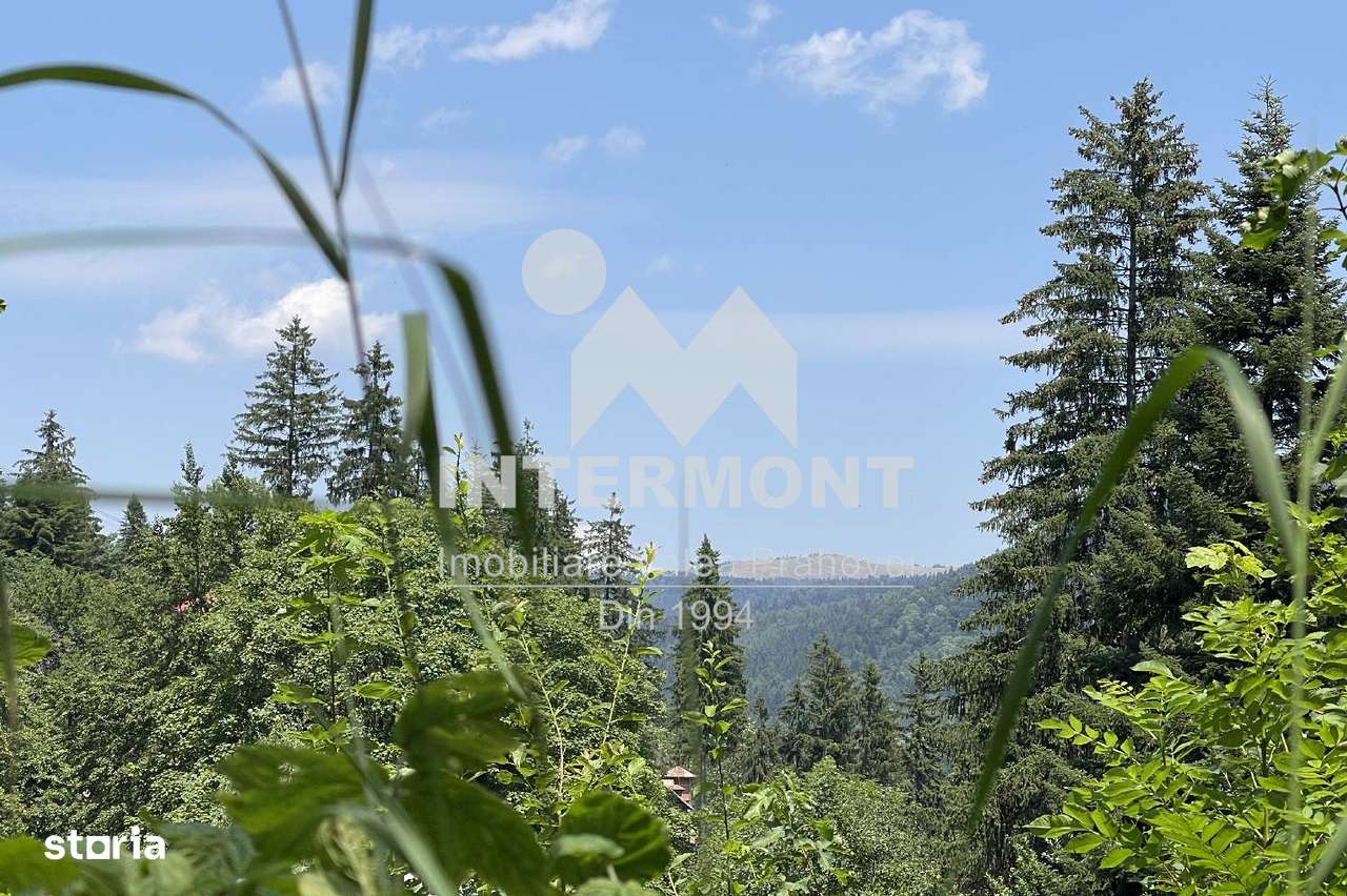 Teren Sinaia, aproape de pădure si centrul orasului. - Imagine principală: 5/8