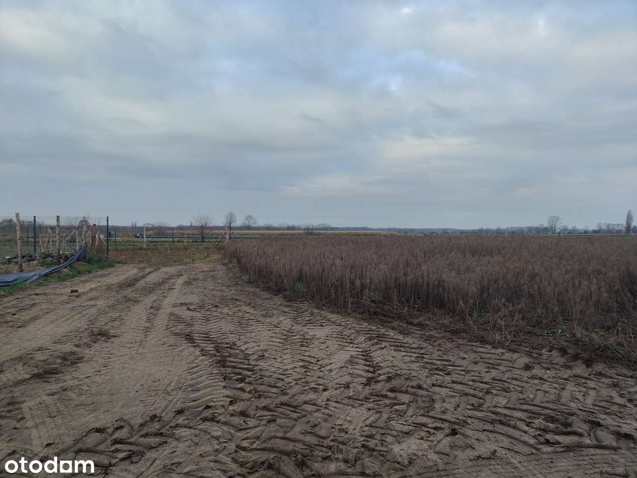 Sprzedam działki budowlane w Przybyszewie - Pełny obrazek: 4/8