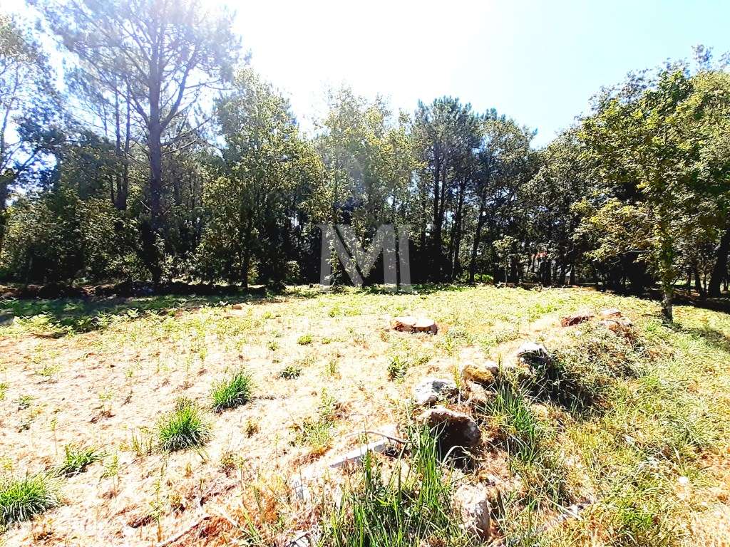 Terreno para construção em Afife - Grande imagem: 4/10