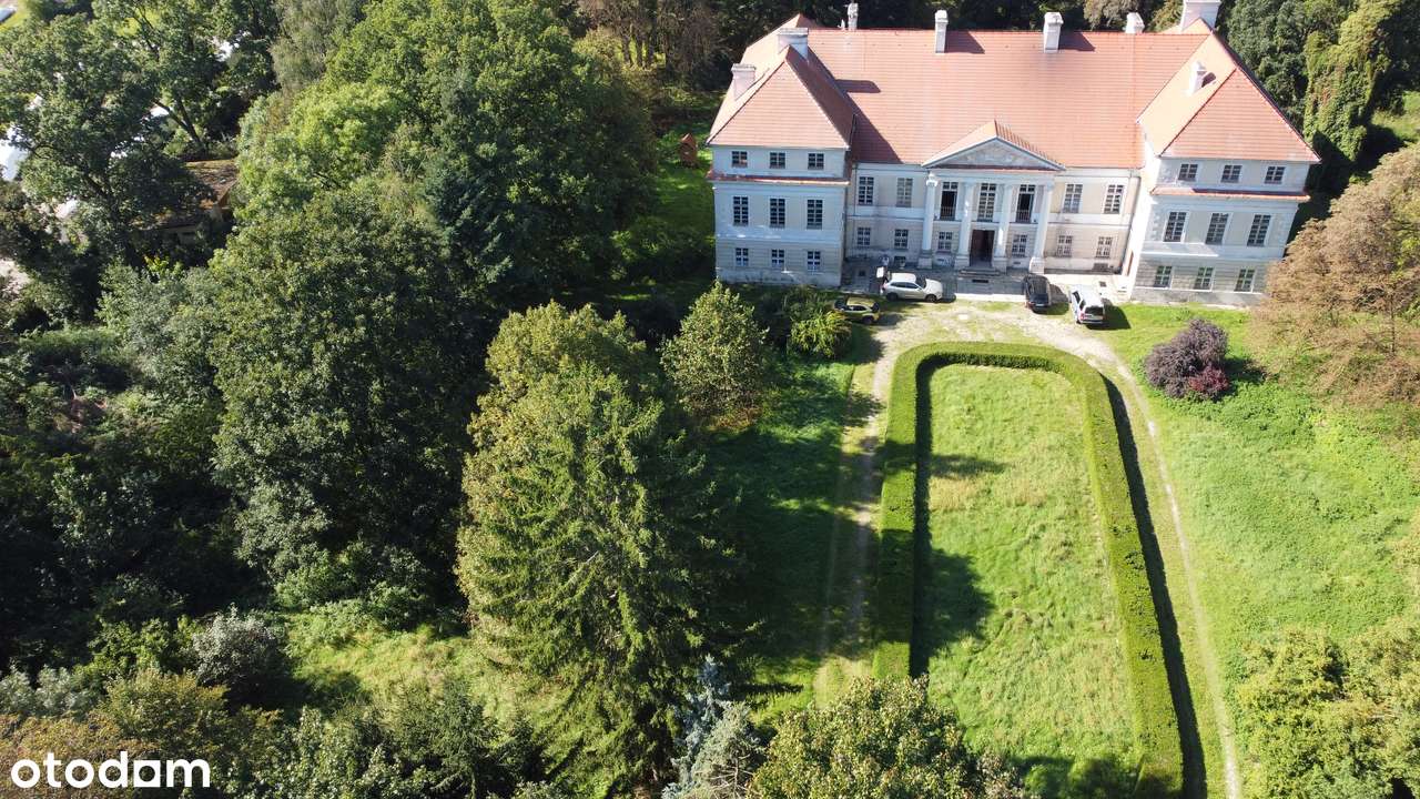 Pałac 1500 m2+park-6,36HA-3 stawy-29KMPoznań,Warszawa 280-szybkiDOJAZD - Pełny obrazek: 4/20