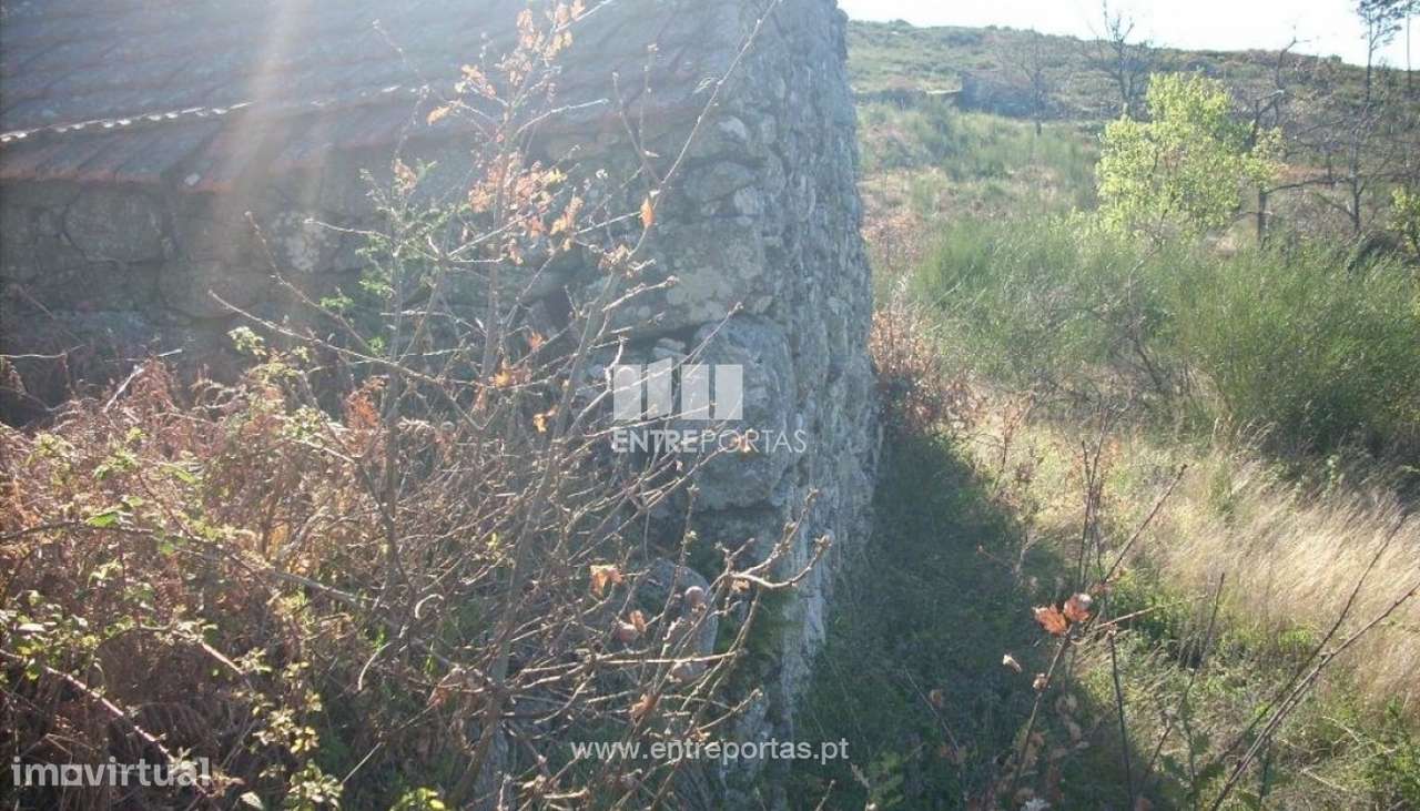 Venda Terreno, Gestaçô, Baião - Grande imagem: 2/10