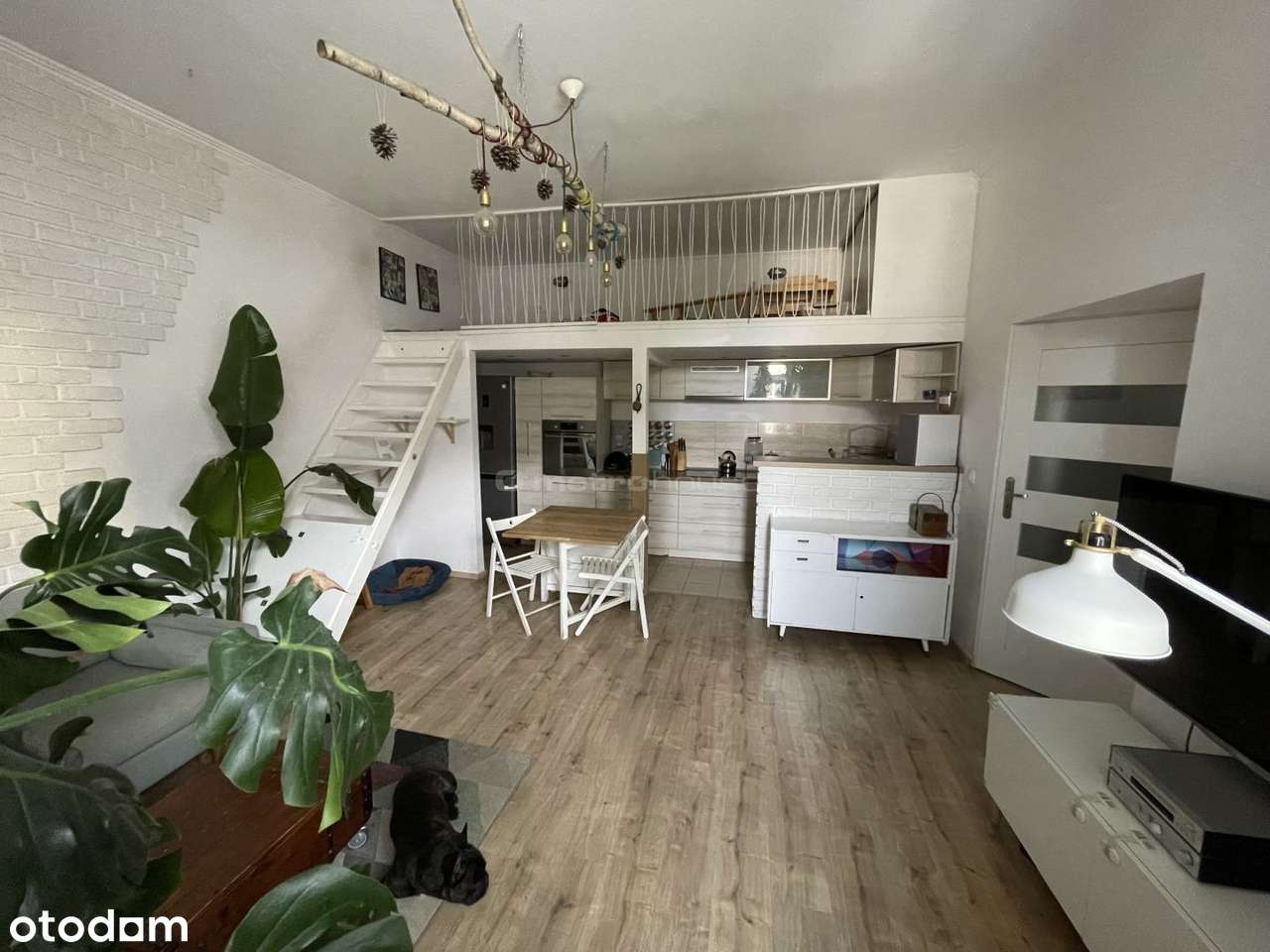 Mieszkanie w zrewitalizowanej kamienicy. - Pełny obrazek: 5/12