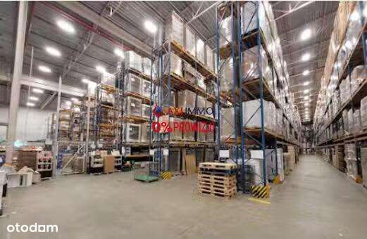Centrum Dystrybucyjne w Błoniu niedaleko Warszawy - Pełny obrazek: 4/4