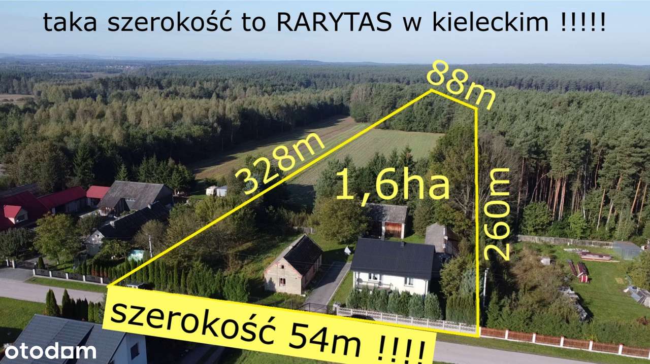 siedlisko z własnym lasem szerokość 54m !!!! idealne pod konie - Pełny obrazek: 4/20