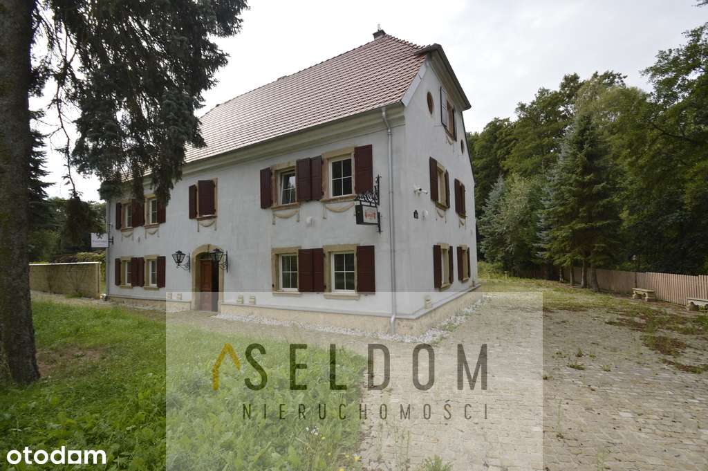 Zabytkowa Pastorówka na sprzedaż - Pełny obrazek: 4/13