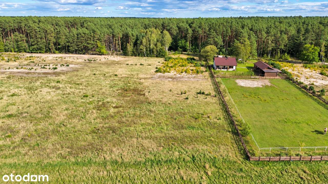DZIAŁKA ROLNO-BUDOWLANA , WZ- 5267 m²