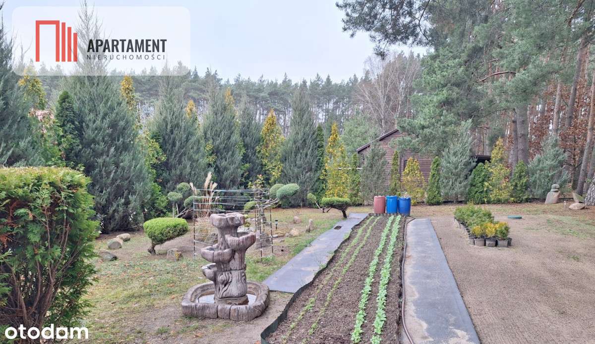 Działka 660 m² z domkiem 16 m², 500 m od jeziora-7