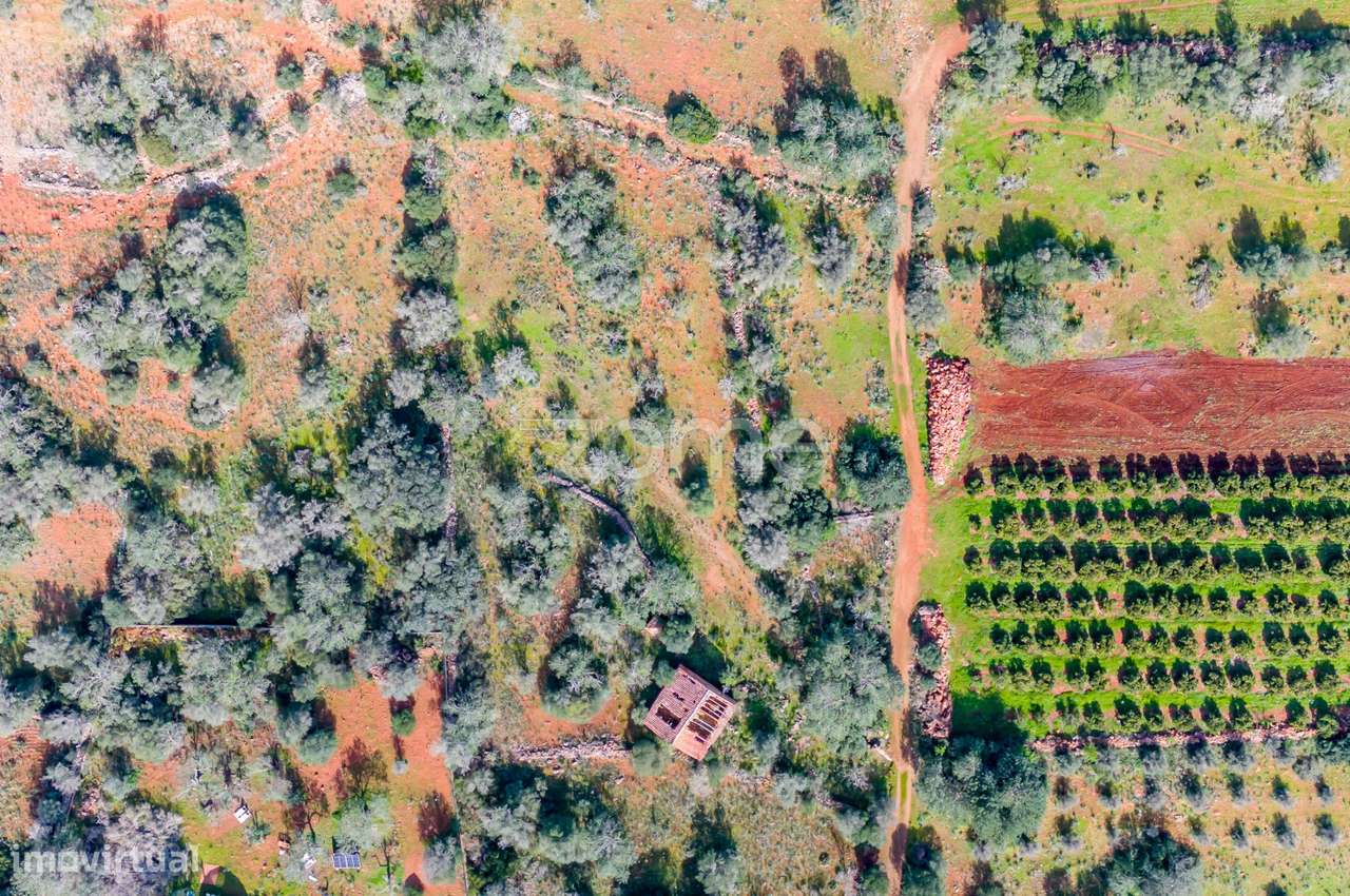 Moradia Isolada em S.B de Messines com terreno de 3840m2 - Grande imagem: 2/26