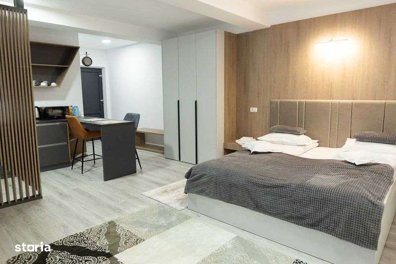 Cazare  Studio Living Bucsoaia - Imagine principală: 5/8