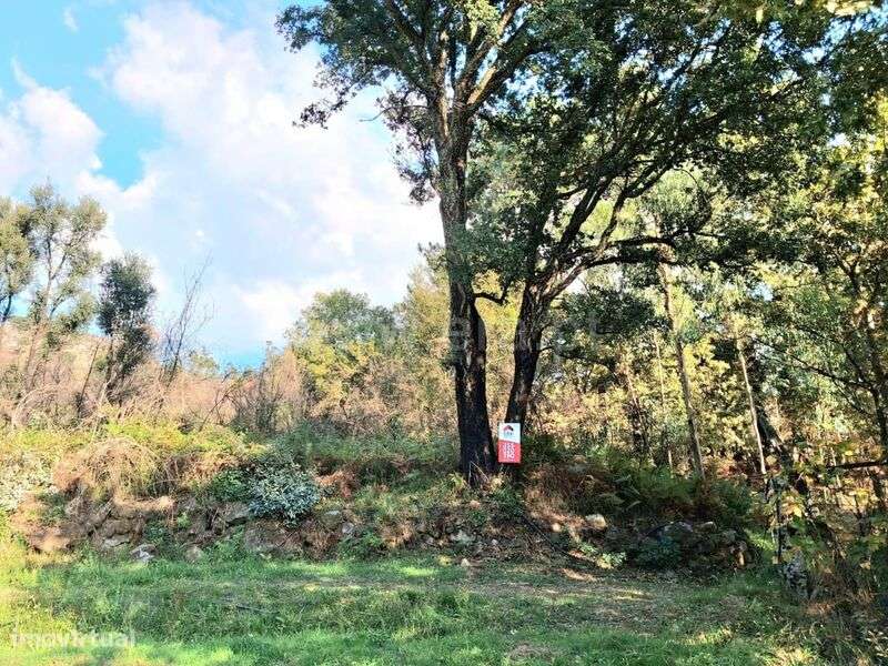 Terreno Rústico / Marco de Canaveses, Vila Boa do Bispo - Grande imagem: 1/4