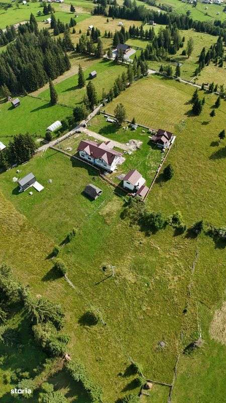 Teren (3.303 mp) in comuna Dorna Arini, la 10 minute de Vatra Dornei - Imagine principală: 5/6