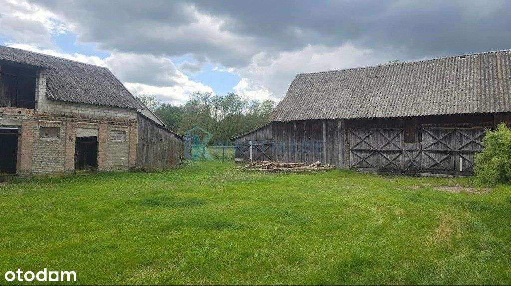 Okazja!Siedlisko blisko W-wa ok. 40km-8