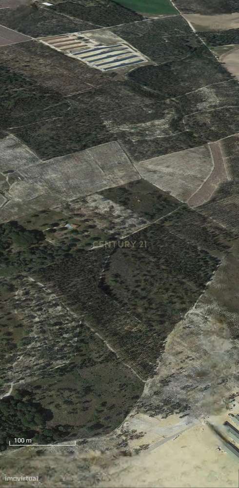 Terreno Rústico | 2 Hectares (20 000m2) | Santo Isidro de Pegões | Pot-6