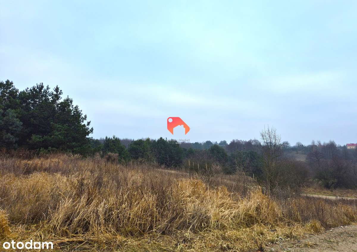Działka W Kruszynie - Wszystkie Media 1074 M2 - Pełny obrazek: 5/5