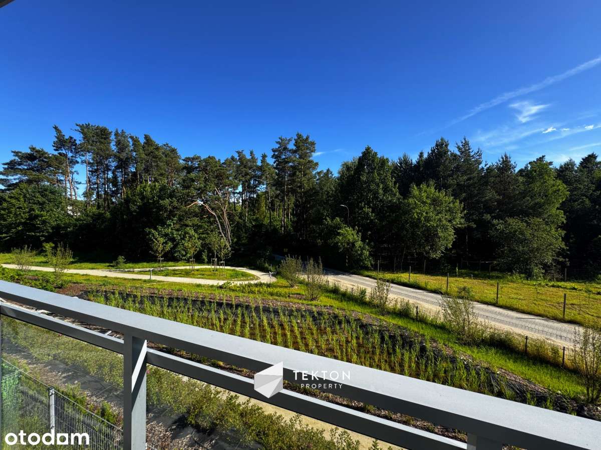 Słońce i las za oknem | Południowy zachód | Widok! - Pełny obrazek: 5/16