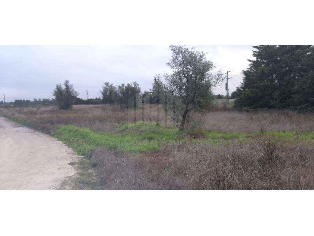 Terreno com 15.000 m² em Plena Natureza na Região de Palmela-9