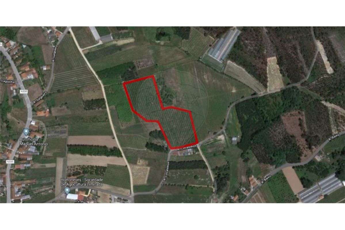 Terreno  para venda - Grande imagem: 1/1