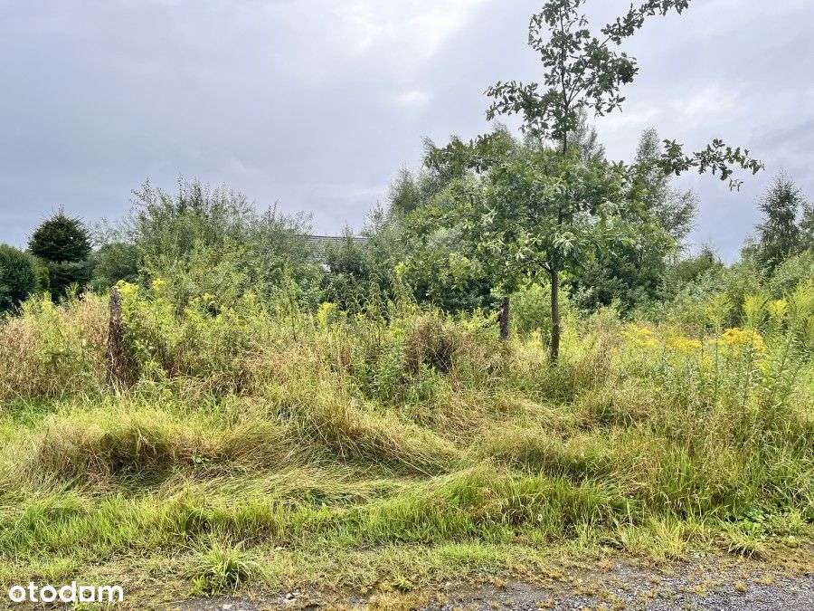 Działka Budowlana Zieleniewo -Morzyczyn - Pełny obrazek: 1/4