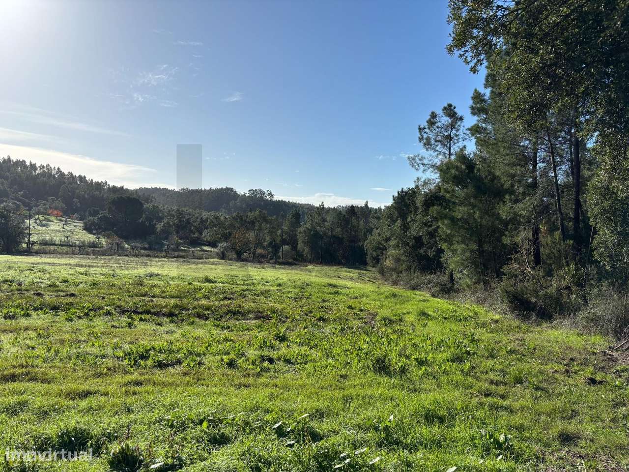 Terreno com viabilidade de construção e vista desafogada em Tomar - Grande imagem: 5/18