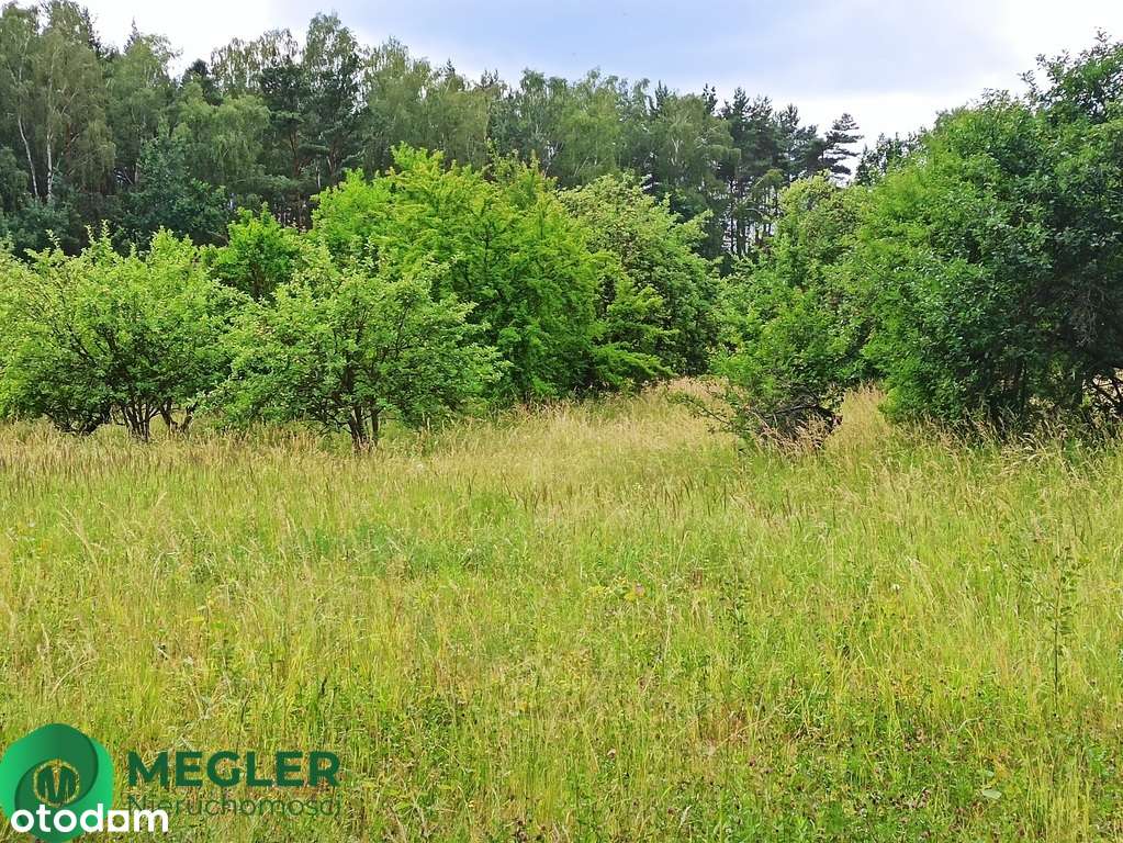 Działka niedaleko lasu-3