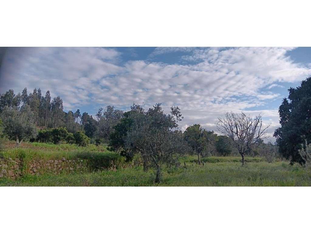 Terreno rústico com construção rural em Aldeia a 5 minutos da Vila ... - Grande imagem: 5/13