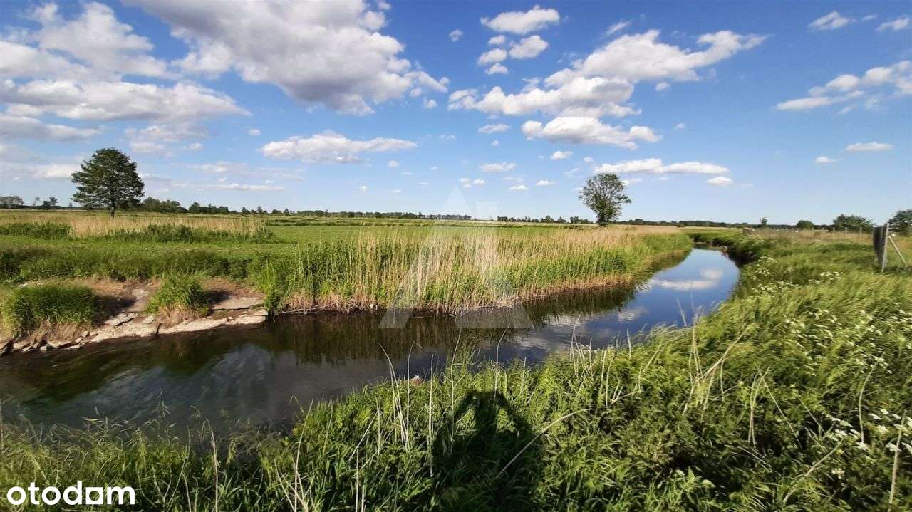 Działka z linią brzegową Noteci - Pełny obrazek: 4/4