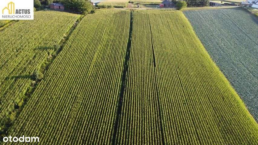 Działka 47 ar Stręgoborzyce-2