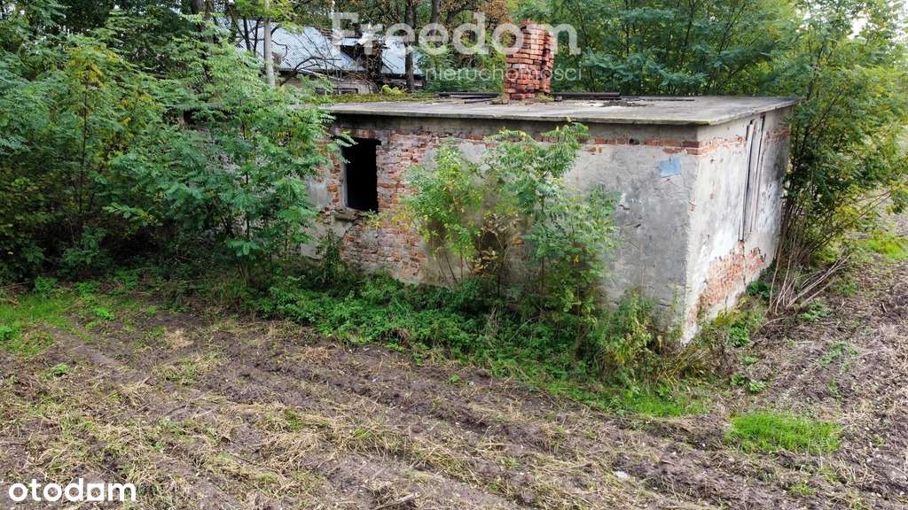 Siedlisko-Marków Towarzystw k/Mszczonowa - Pełny obrazek: 5/6