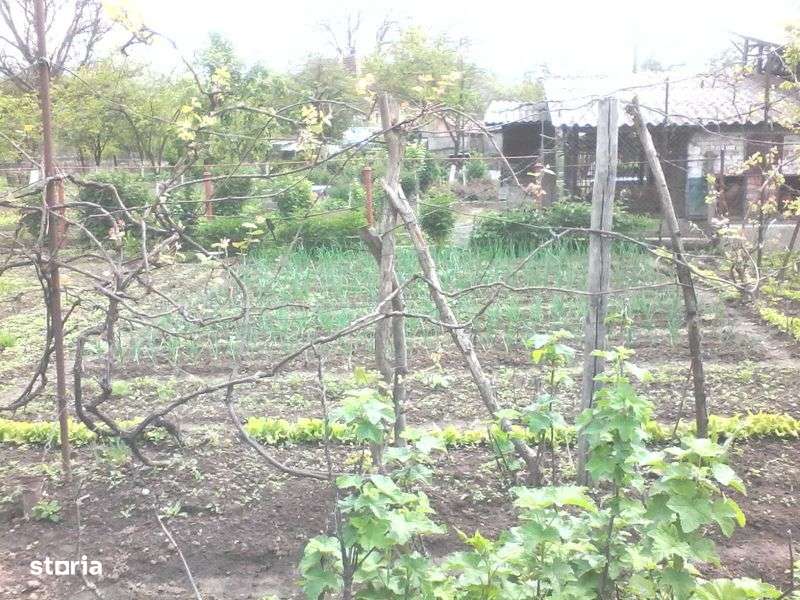 Vand casa 4 camere, S teren=2940 mp. Loc.Criscior, langa Brad. - Imagine principală: 5/5