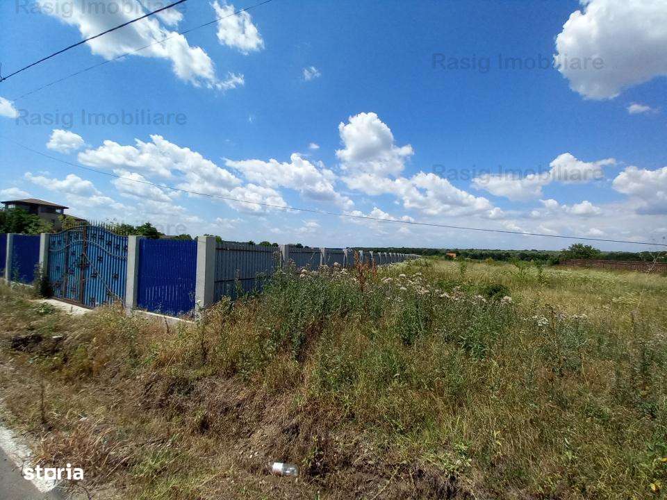 Teren intravilan 1187 mp , strada asfaltata , utilitati - Imagine principală: 3/8