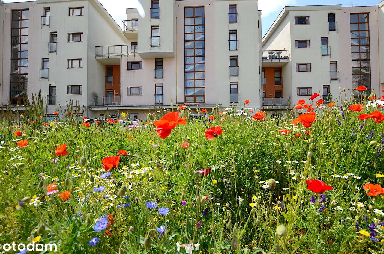 2-pokojowe 54m2 / Ursus – Skorosze / ul. Dzieci Warszawy-18