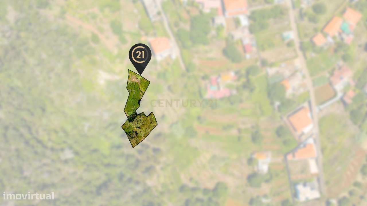 Terreno Rústico - Eiras, Santa Cruz, Madeira - Grande imagem: 3/12