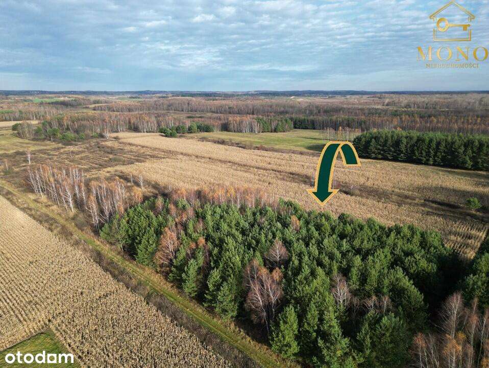 Działka 1,61 ha ok. 10 km od Buska-Zdrój-9